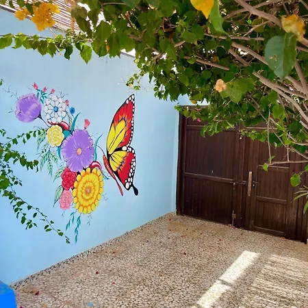 The Blue House-3